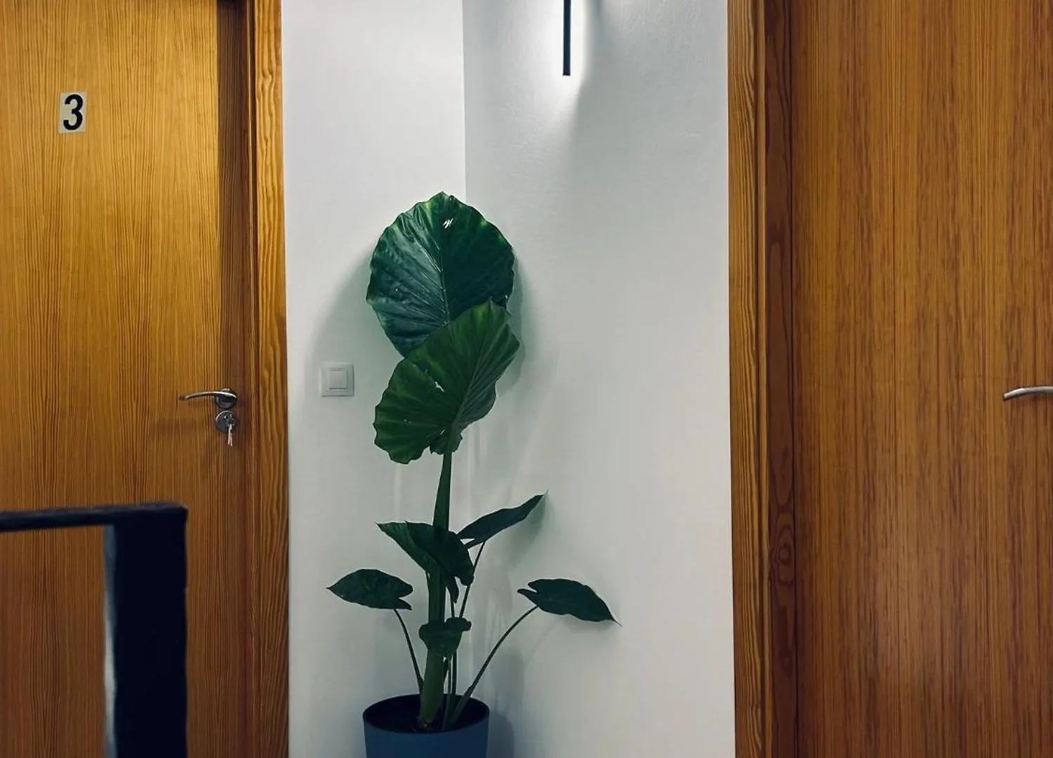Apartmán Mi Huesped Zujar, Baza